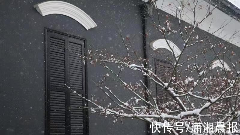 长沙|长沙初雪自带美颜滤镜，校园里“千树万树梨花开”