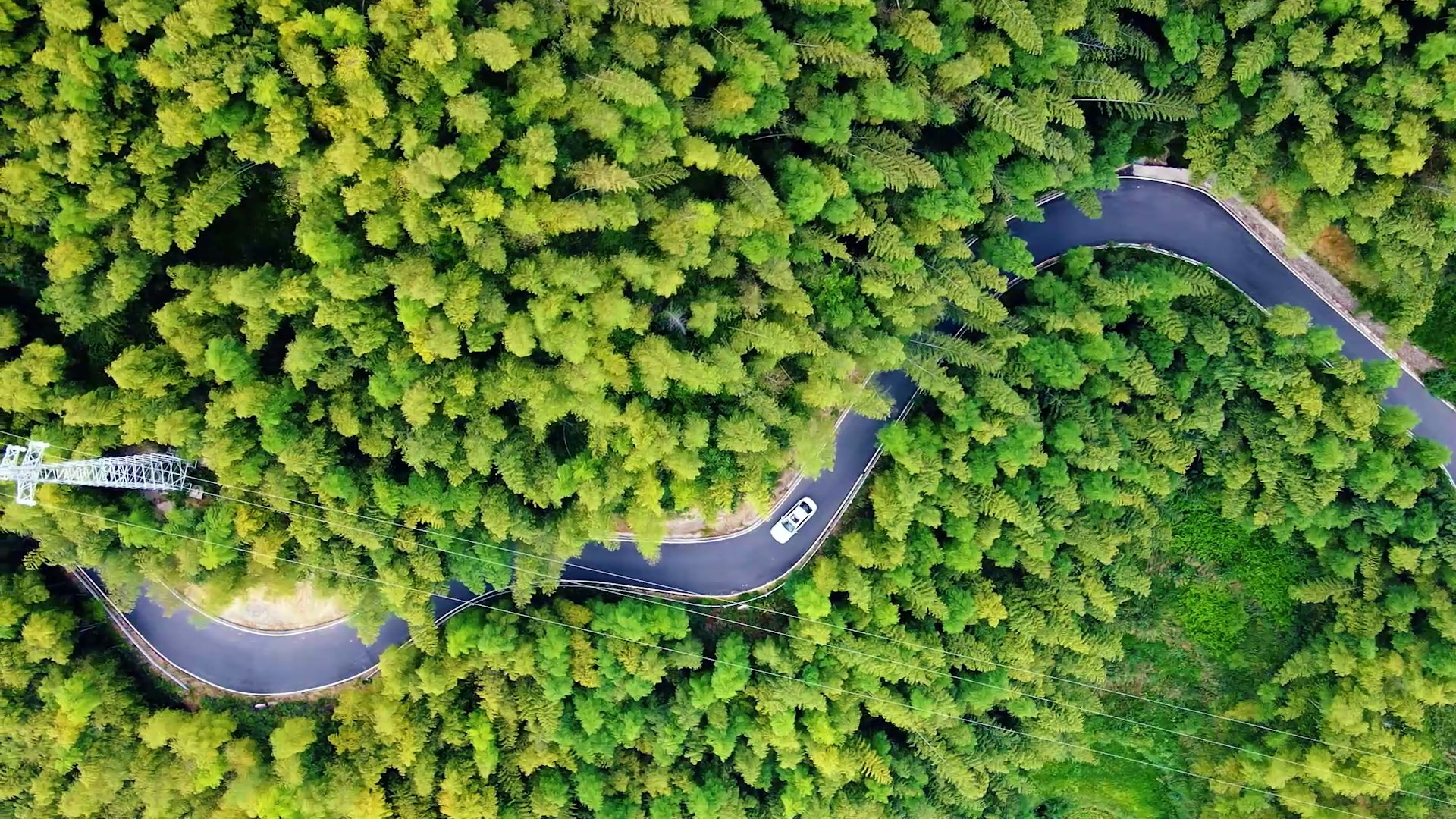 浙江省|35松阳“古村探秘 走进山川云海”自驾游线路