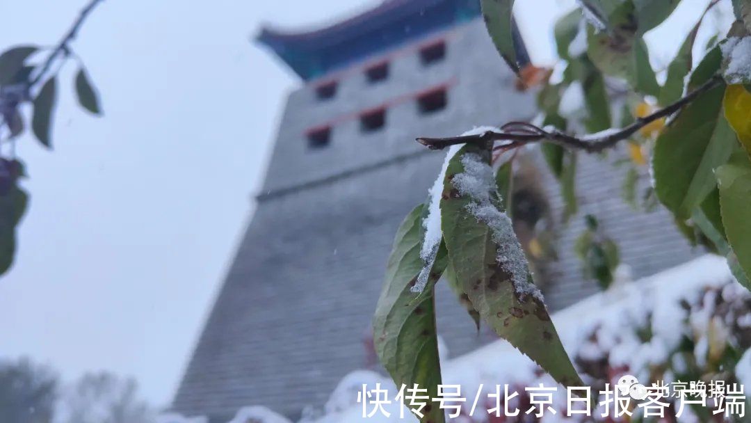 白塔寺|?今天京城这些地方的雪景，独一份！随便一处都是打卡点——