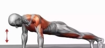 俯卧撑|新手都在做俯卧撑，老手却拿双杠臂屈伸练胸，这两个动作差在哪