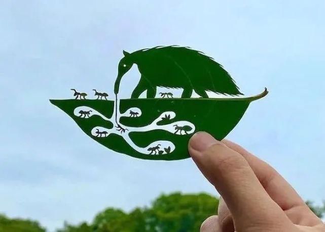 ?艺术家真会赚钱，把捡来的树叶简单雕刻后，价值翻了几百倍