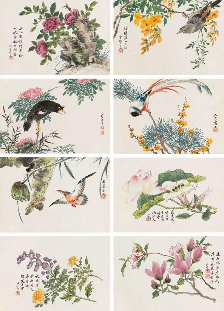  这位清代画家的《花鸟册》，好美！