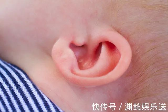 新手爸|婴儿身上哪几个部位再脏也不能洗新手爸妈要知道,洗错会害了娃