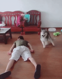 |搞笑GIF:我都不敢这么p,她却敢这么长!