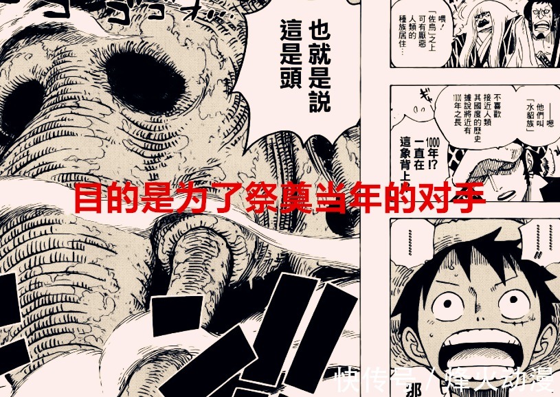 指令|海贼王1037话:象主并非是被召唤过来的,而是要去祭奠当年的对手