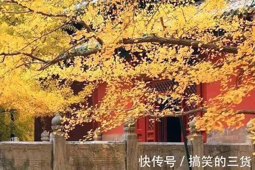 佛家！修行之人为何喜欢打坐了解这些常识，对你大有好处