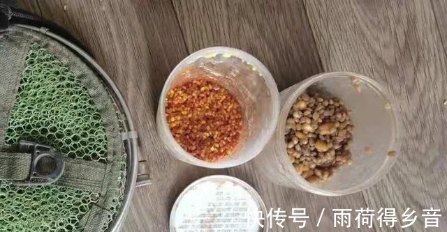 伏天热,大鲫鱼只认这尿性饵,莫忽视,用过的人绝非等闲之辈!