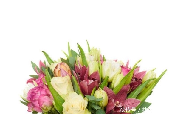 财运|11月财运一鸣惊人,日子越过越顺畅的3生肖