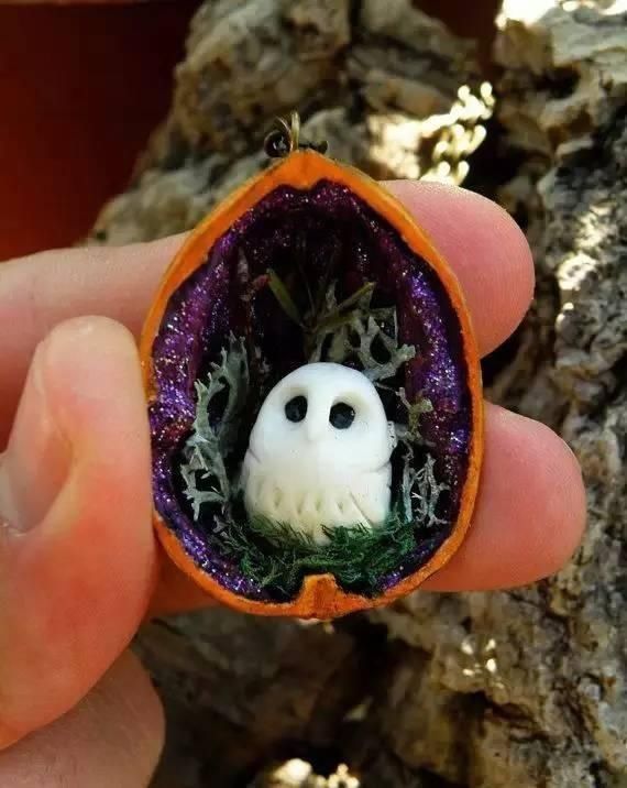 保证|吃完的坚果不能丢,坚果壳变身记,保证创意一箩筐