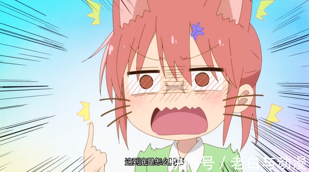 托尔|小林家的龙女仆S:小林病倒,吃下托尔的药,变成猫耳娘了