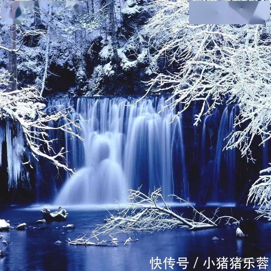 沉淀|入冬而不冻的奇观,来自“冰河”的叮咚优雅