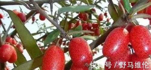 食物|女性不想满脸皱纹,可以坚持吃3种食物,美容养颜、增强体质!