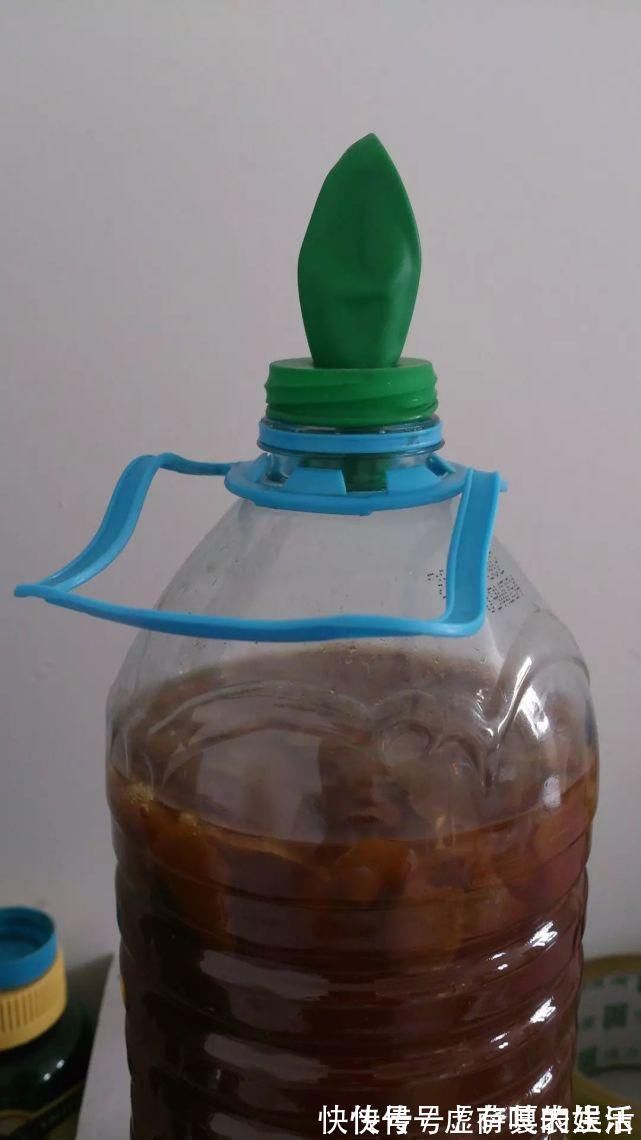 养花|老花匠:扔4种“东西”,就是扔钱,比花肥还好用,不花钱!