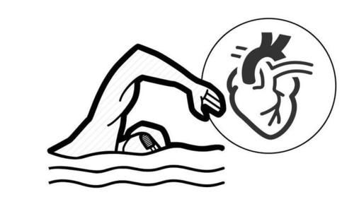 安全线|高血压莫怕!5类运动每天坚持打卡,血压或能退回“安全线”