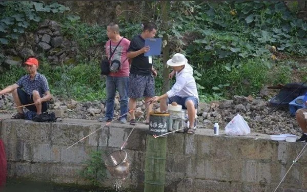 雾化|现在才弄明白：不是不能连竿上鱼，只怪补窝一直用错了方法