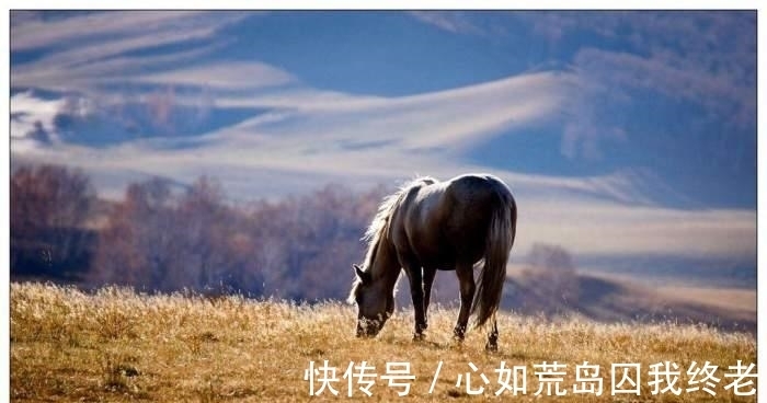 少林寺|最坑的六大景点, 第一个去了肯定被坑, 外国人直呼中国人太黑