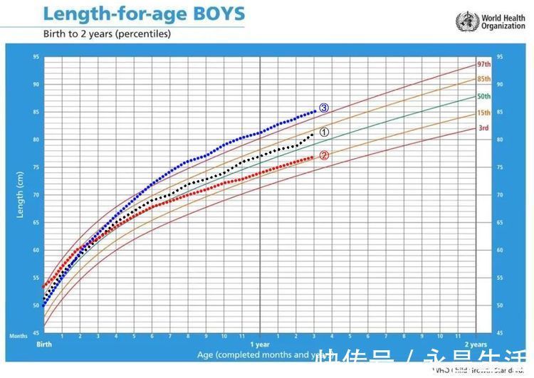 身高|孩子个子矮是“发育晚”还是“发育迟缓”?生长曲线会说话