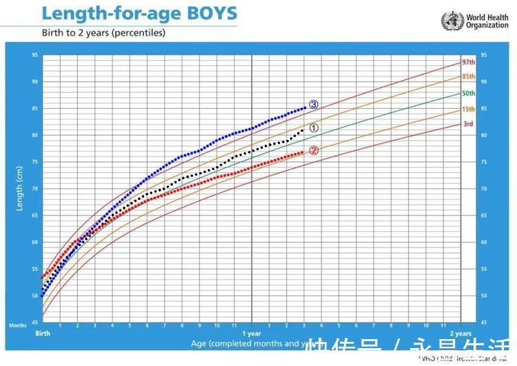 身高|孩子个子矮是“发育晚”还是“发育迟缓”？生长曲线会说话