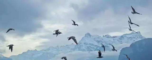 中国人!老祖宗最有智慧的四句话,背熟它,让你成功逆袭,做人生赢家