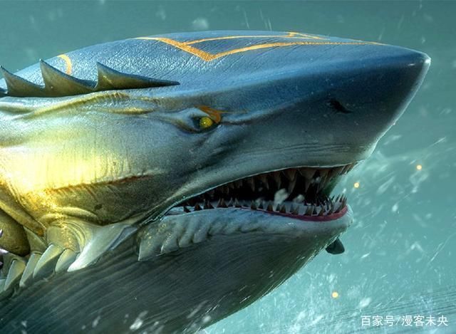 深海魔鲸王|斗罗大陆小白正脸曝光太美了,面容冷艳身材性感,本体也很凶悍