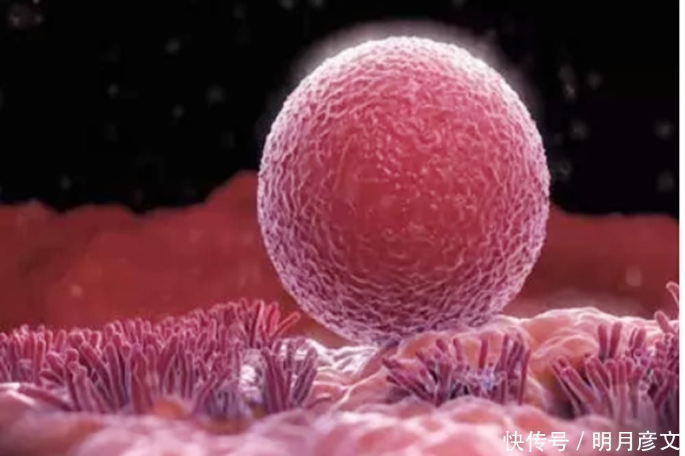 备孕|女性身体有这3种表现，暗示身体不“排卵”，再积极备孕也没用！