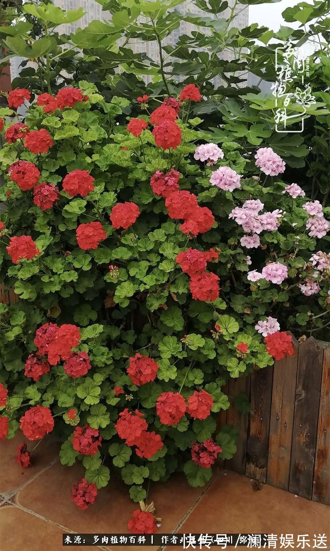 一定要爱着点什么，恰是草木对光阴的柔情！