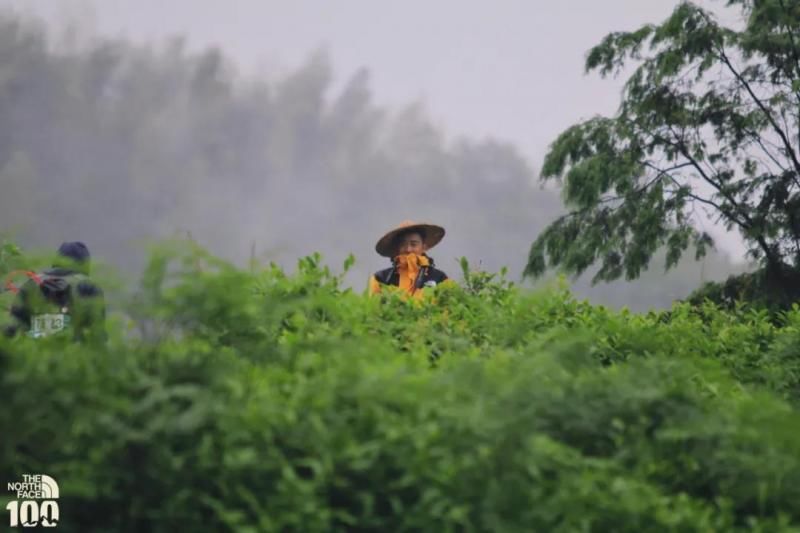 山野|什么是越野跑？