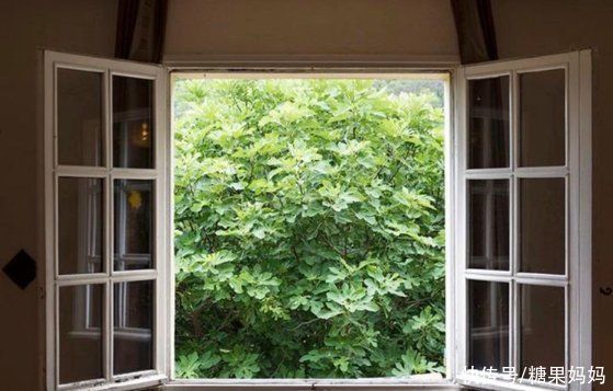 错误做法|三伏天想要给娃降温，家长勿用这些错误做法，反倒会给孩子添烦恼