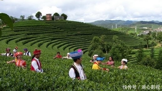 少数民族|唯一以茶叶命名的城市，竟还是咖啡之都，风景一点不输丽江