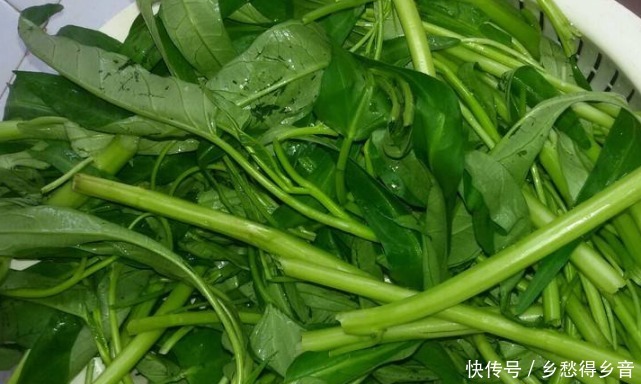 多吃此菜，称为“补钙库”，隔天炒一盘，补钙质，孩子长个不挑食