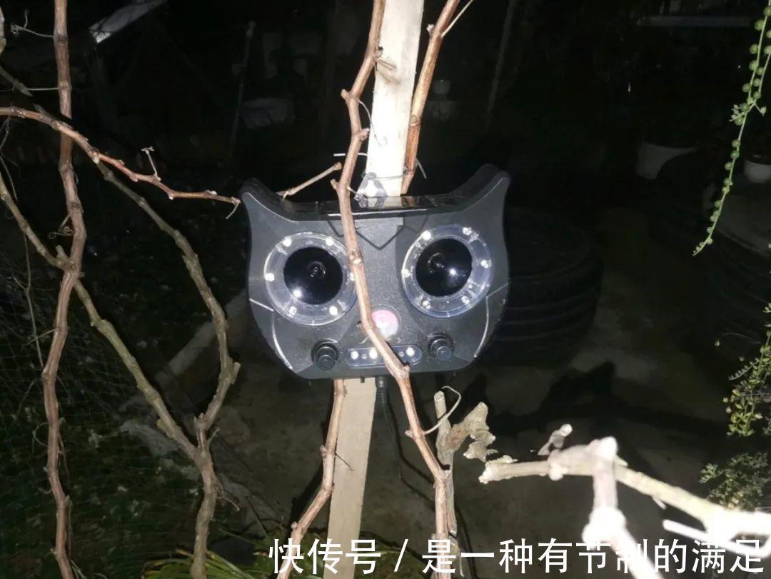 四川大哥养多肉,创意无极限,生活巴适得很!