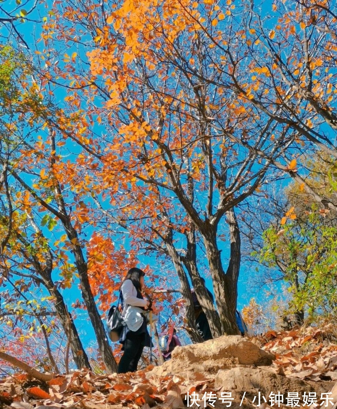 刘禹锡|西安秋色｜太平峪圭峰山红叶