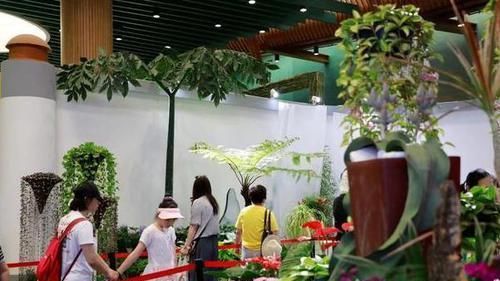  垂吊植物|垂吊类绿植：绿萝、吊兰看腻了!盆栽这些花卉，漂亮、好养