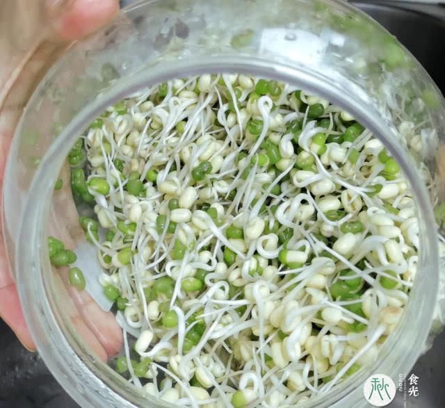 喜欢吃绿豆芽的快来看看,3把绿豆5天生出1大桶,安全健康放心吃