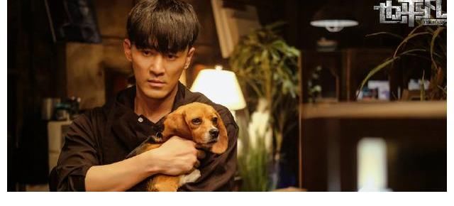 《也平凡》上星定档，郑恺、张国立、林峯别样父子情，黑白对决