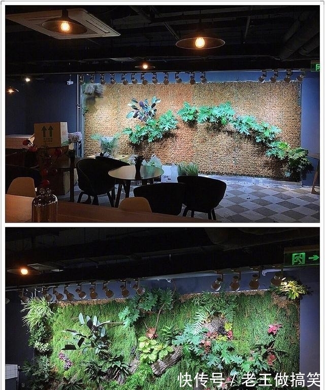 高晓松|他毕业后没上过一天班，参加《最强大脑》是为了玩，退赛后咋样了