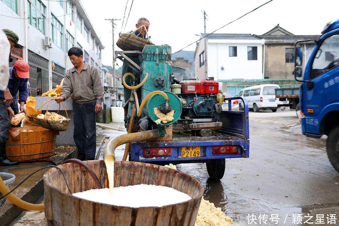 番薯的花样吃法,舌尖上的美食,只问吃过几种