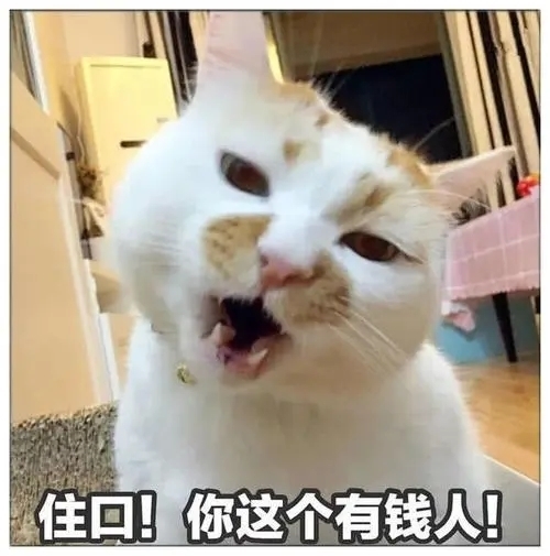 |搞笑段子:楼下的张婶是个热心肠的人