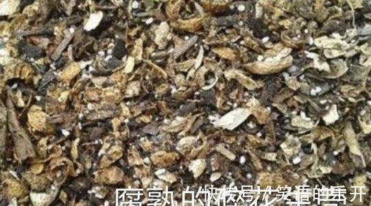 煮熟的花生壳或者烘烤的花生壳需不需要重新发酵吗?因为什么呢?