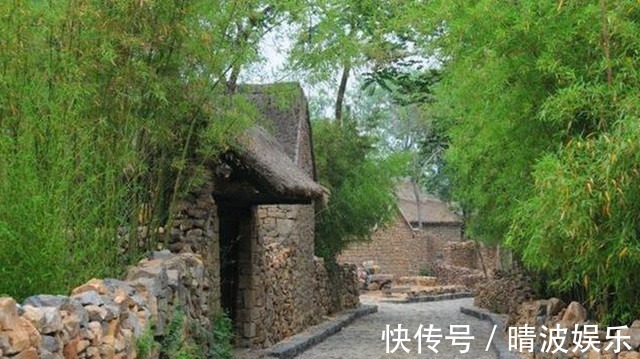 农村院子里最适合种的5种树,不但寓意好,而且美观又实用!