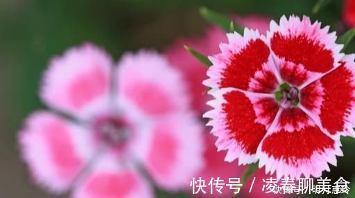 白开水$50、60、70岁的朋友,记住这7句话,让你的生活更幸福