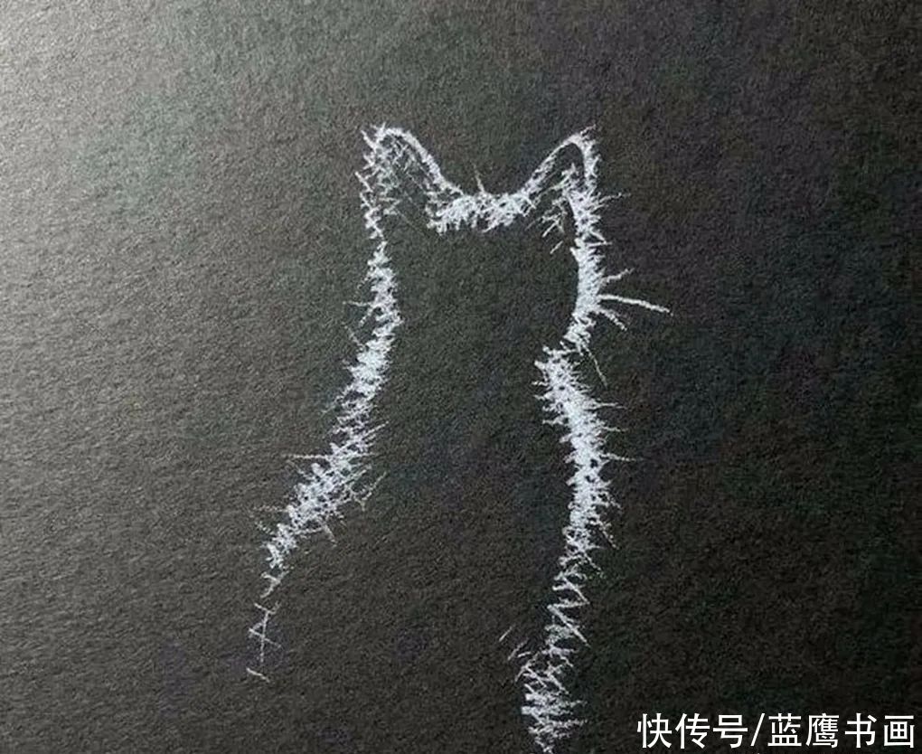  黑色|用白色铅笔在黑纸上画画，李羿慧寥寥几笔，却让人感到妙趣横生
