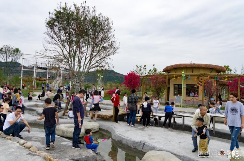 老年|【复苏】走谷雨,开着蓝精灵去凤仪湾玩水看花~~