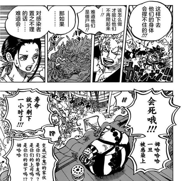 别名|《海贼王》漫画994话 别名为大和