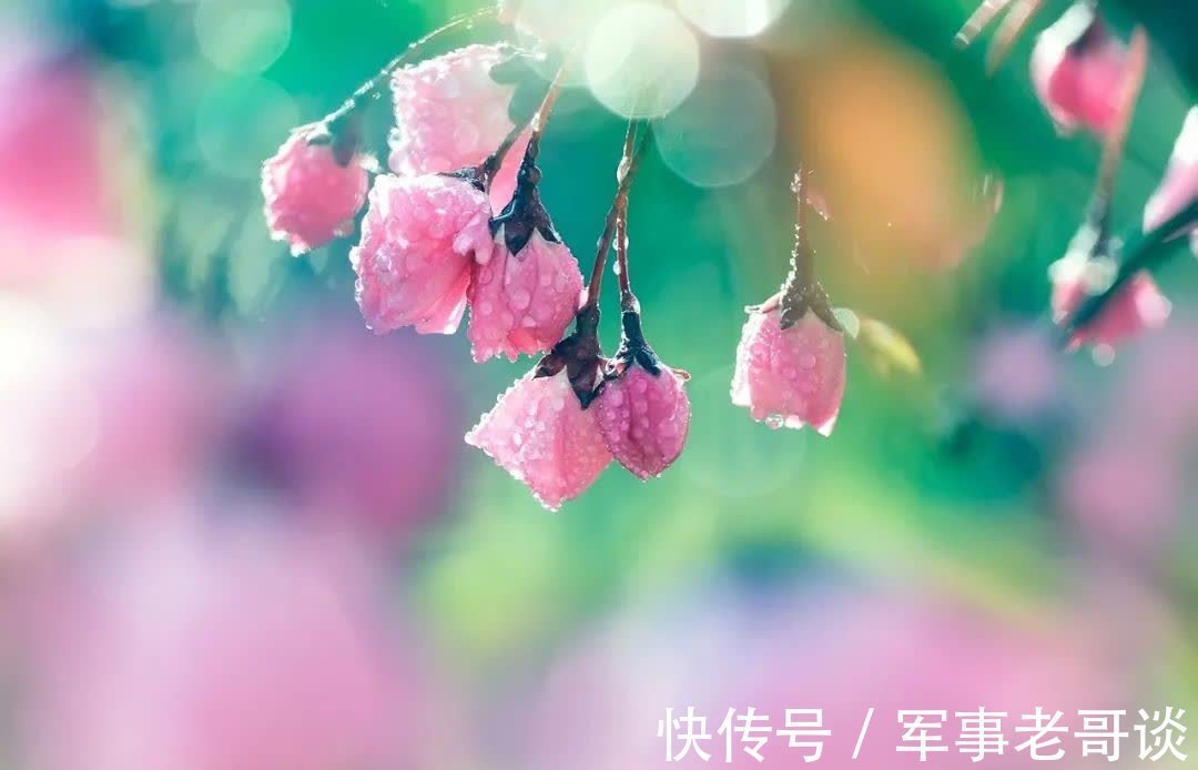 淑女!优雅,是一种岁月