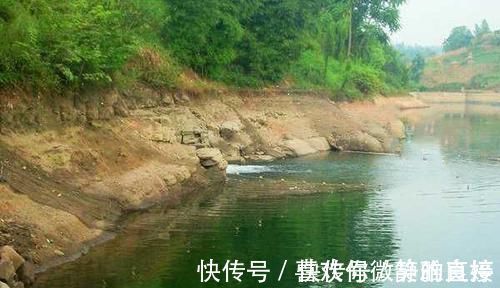 面饵|民间野钓草鱼的几种“野路子”,效果好的没话说,上钩全是大草鱼