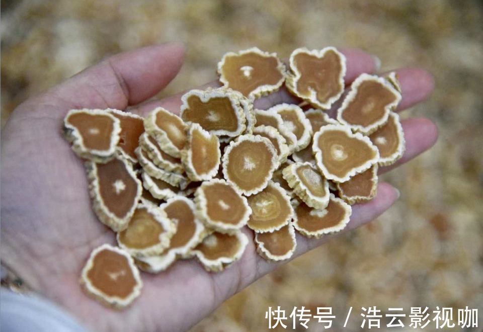 枸杞|激活雄性激素的“冠军”原来不是枸杞,男人敞开食用,唤醒肾动力