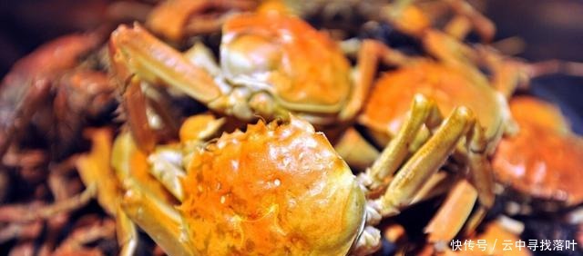 医生|青岛痛风患者远超30万,全国排第一,医生说出了背后的真相!