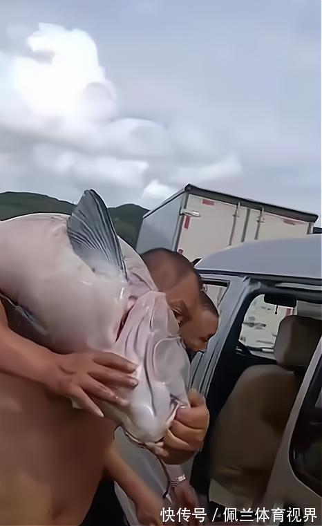 沈阳一水库鱼王被人钓起，有人想花1000买下放生