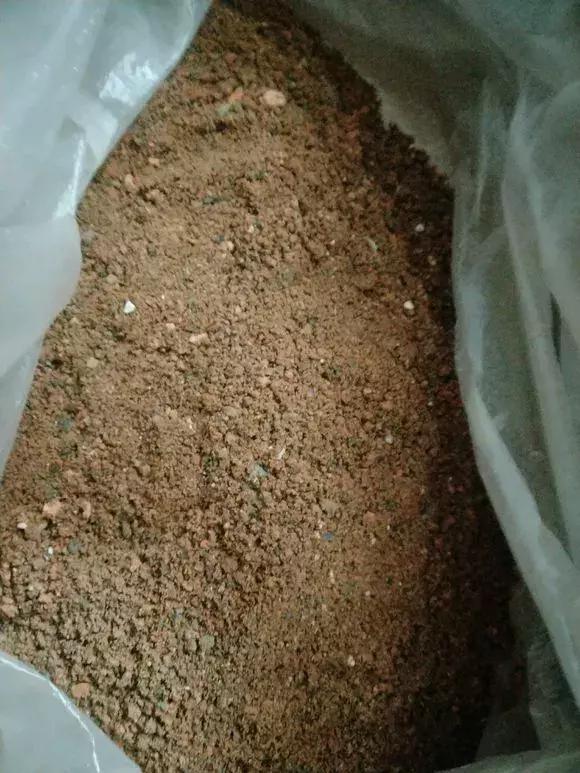 煤渣|什么腐叶土、营养土,比不上“一窝煤”,养花不烂根,易爆盆!